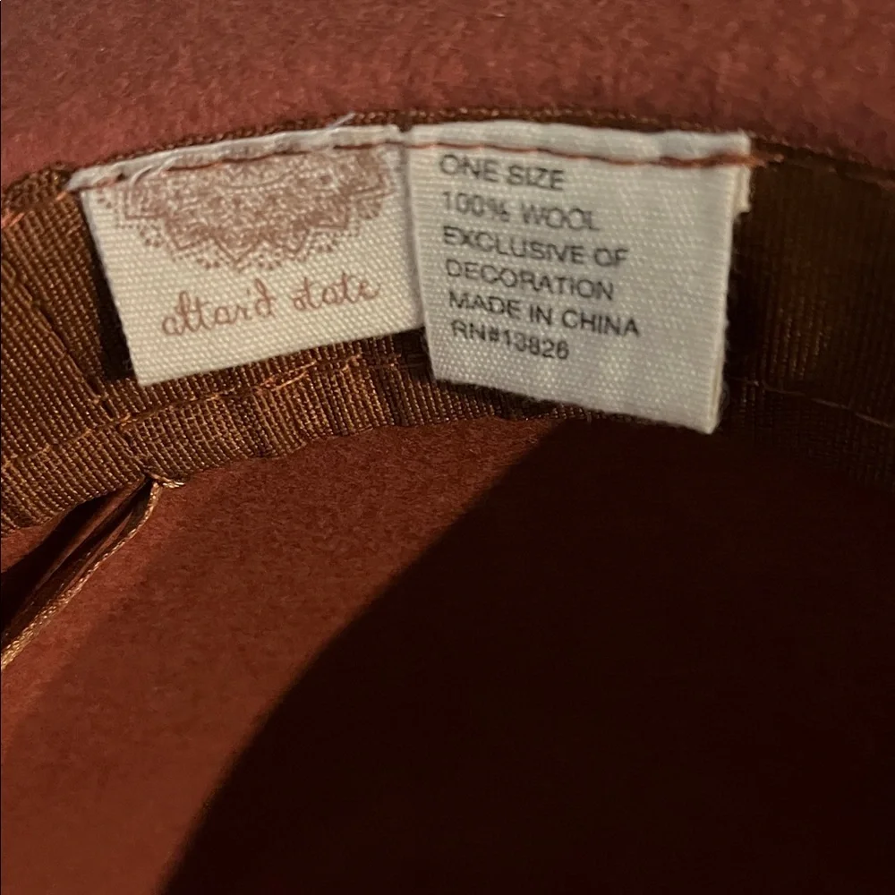 Altar'd State Terracotta Wide-Brim Fedora Hat. 100% Wool Minimalist Quite Luxury